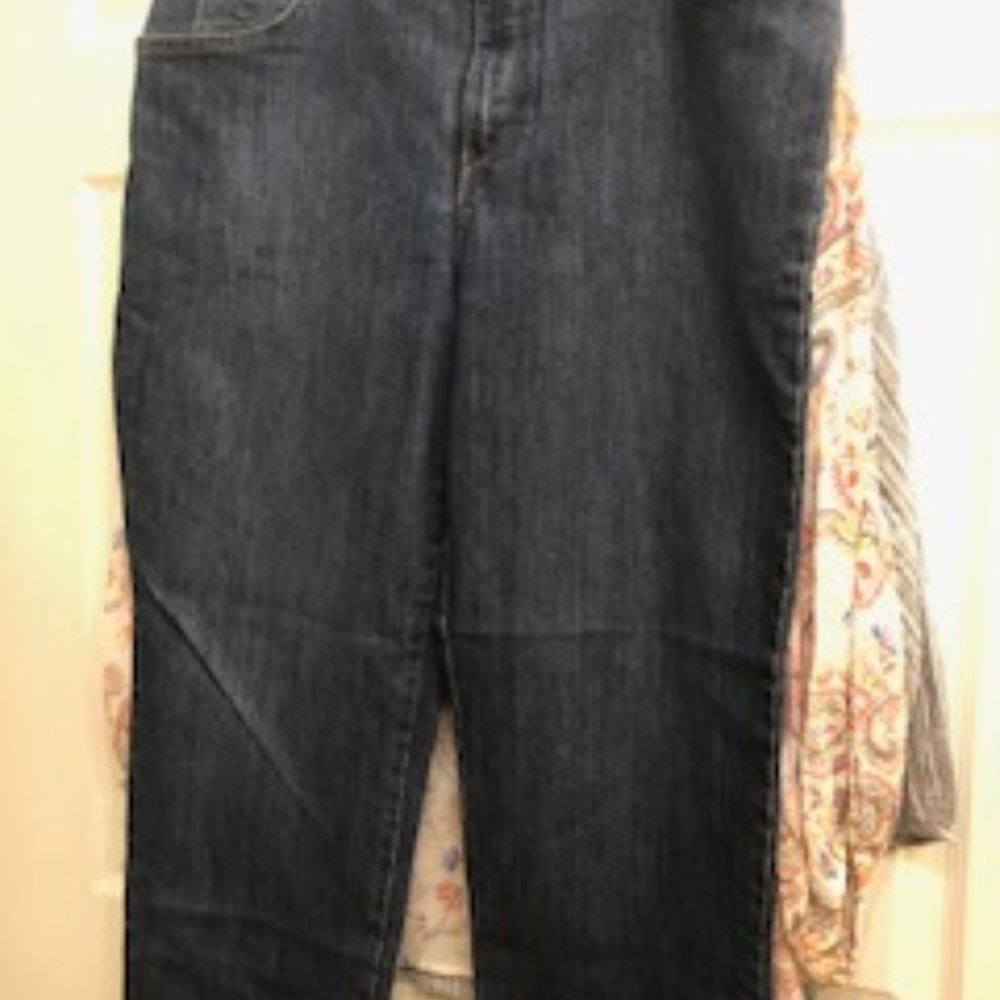 Gloria Vanderbilt Jean 16 Regular